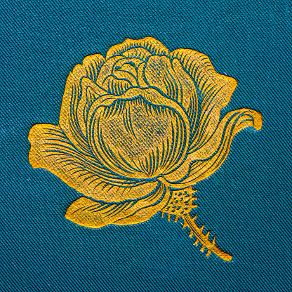 Antique book cover illustration: Rose flower