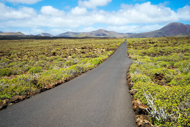 緑の茂みを抜けてランサローテ島の火山に通じる黒いアスファルト道路、カナリア諸島、スペイン - lanzarote canary islands volcano green ストックフォトと画像