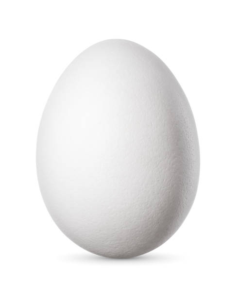одно куриное яйцо изолировано на белом фоне. - protein isolated shell food стоковые фото и изображения