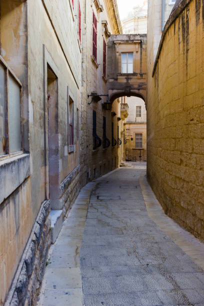 istock Narrow street in Mdina 1447421168