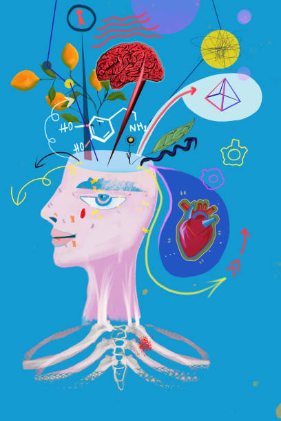 ilustrações, clipart, desenhos animados e ícones de saúde e medicina - brain human nervous system contemplation healthcare and medicine