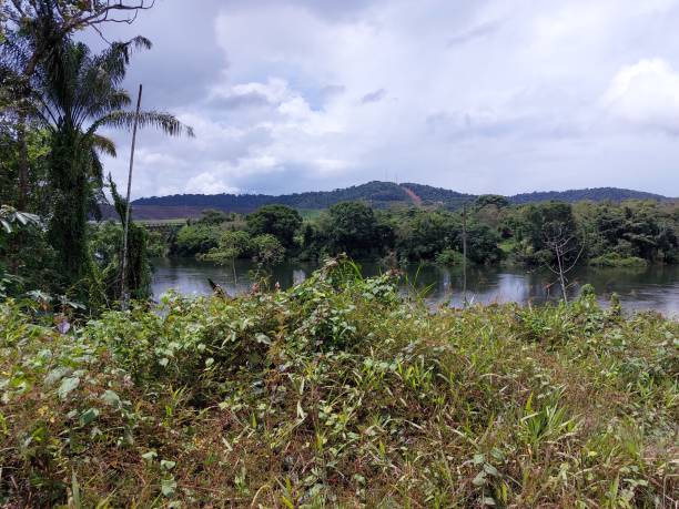 istock Viewing towards afobaka hydro dam 1447423545