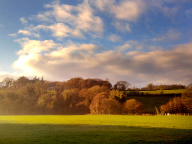 istock Winter Sunlight on a green field with light ground mist and pink clouds 1447426930