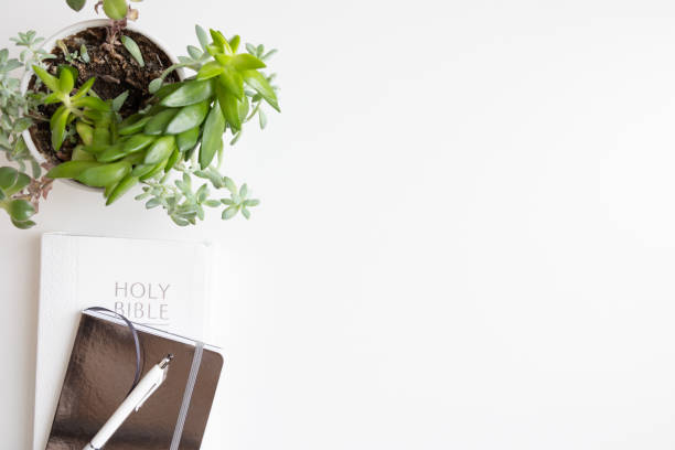 istock Bible, journal and plant on a white desk 1447427142