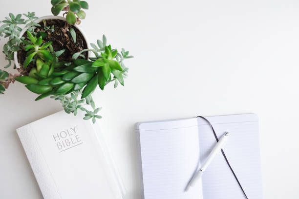 istock Bible, open journal and plant on white desk 1447427166