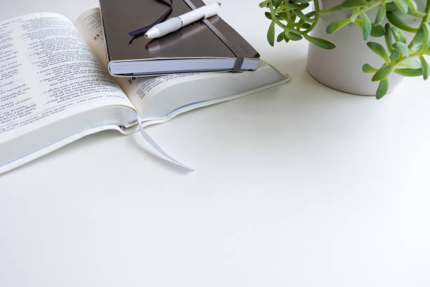 Open bible, journal and pen with plant on desk stock photo
