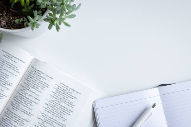 istock Open bible, journal, pen and succulent plant 1447427252