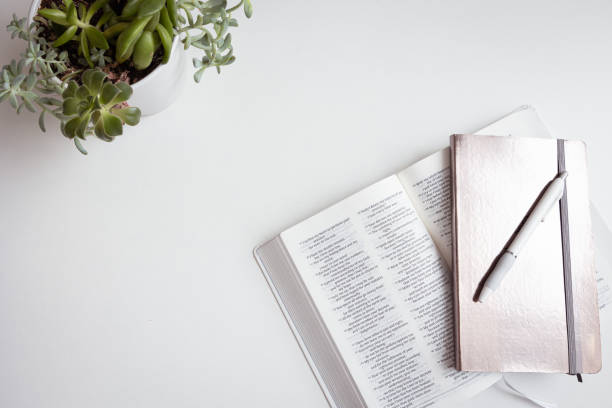 istock Bible, journal and plant on white 1447427255