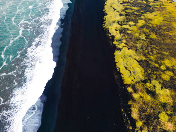 istock Reynisfjara black beach, Iceland - drone view from top 1447427389