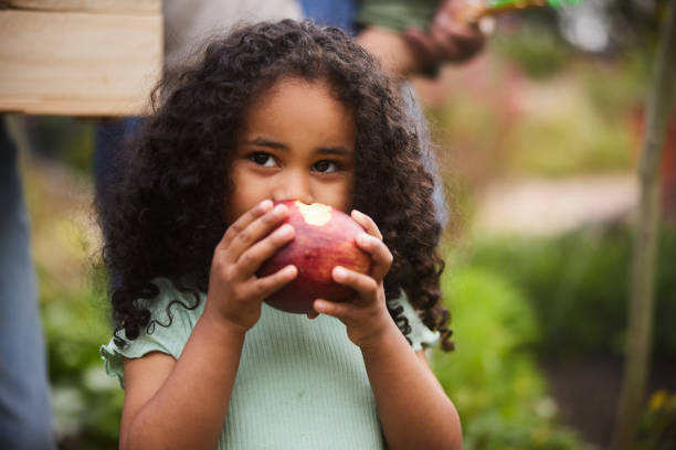 милая маленькая девочка ест яблоко на улице в саду своей семьи - apple eating little girls green стоковые фото и изображения