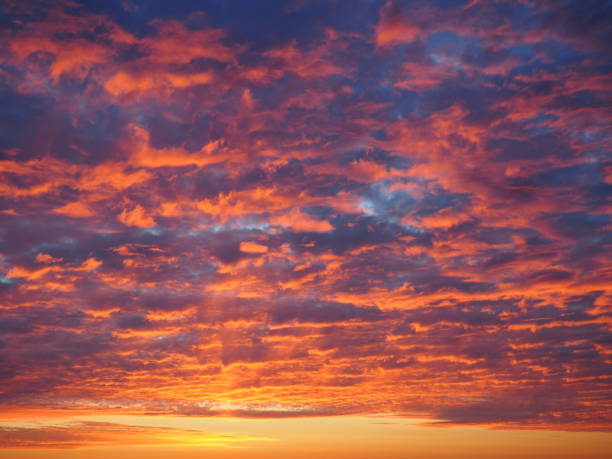 istock Pink, blue, yellow, orange and purple sky 1447427989