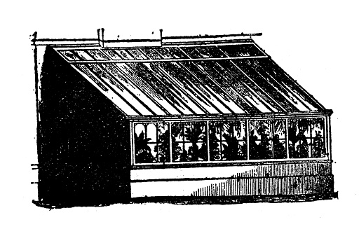 Antique engraving illustration: Lean-to conservatory