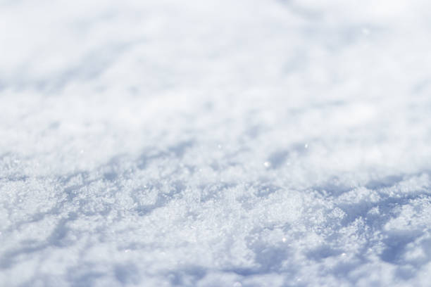 istock Natural winter background. Snow close-up. 1447430637