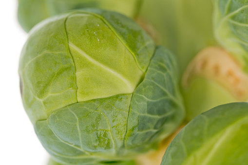 Isolated Brussel Sprout detail on white