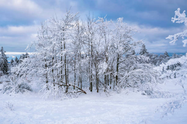 istock Winter in the Taunus/Germany 1447434415