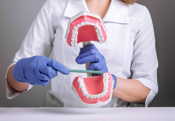 istock Wisdom tooth, third molar concept. Doctor dentist showing teeth, fake artificial jaw model 1447438775
