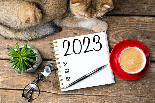 new year goals 2023 on desk. 2023 goals list with notebook, coffee cup, plant on wooden table. resolutions, plan, goals, action, checklist, idea concept. new year 2023 template - determination new years eve list aspirations imagens e fotografias de stock