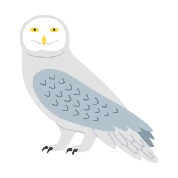 Vector illustration of White owl cartoon illustration. Predatory bird or beautiful flying creatures isolated on white background