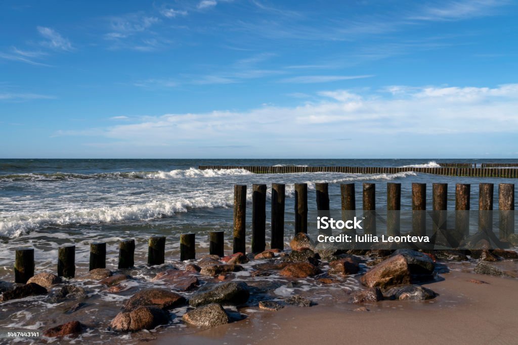 View of the Baltic Sea and wooden breakwaters of the city beach on a summer day, Svetlogorsk, Kaliningrad region, Russia Architecture Stock Photo