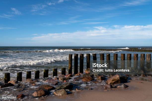View Of The Baltic Sea And Wooden Breakwaters Of The City Beach On A Summer Day Svetlogorsk Kaliningrad Region Russia Stock Photo - Download Image Now