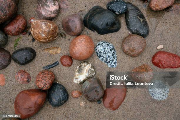Background Of Multicolored Sea Pebbles On The Shore Of The Baltic Sea Svetlogorsk Kaliningrad Region Russia Stock Photo - Download Image Now