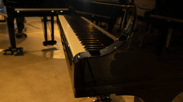 istock piano keys of a black piano 1447448058