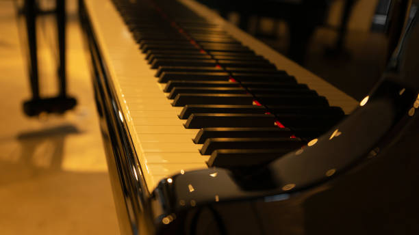 istock piano keys of a black piano 1447448066