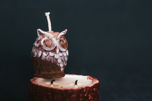 Candles in the shape of an owl on a tree stump. Holiday advent. Beautiful handmade candles. Cozy atmosphere