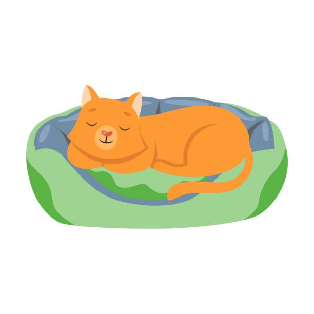 кошка сладко спит на ковре, мультяшная иллюстрация. счастливый маленький и пожилой персонаж питомца растет, играя с мячом, изолированным на - puppy feline domestic cat fur stock illustrations