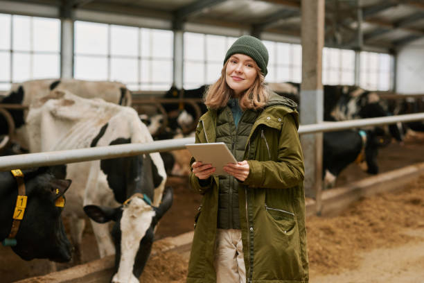 Farmer using tablet pc on farm Portrait of young farmer using digital tablet to watch information about each milk cow during her work on farm Farmer stock pictures, royalty-free photos & images