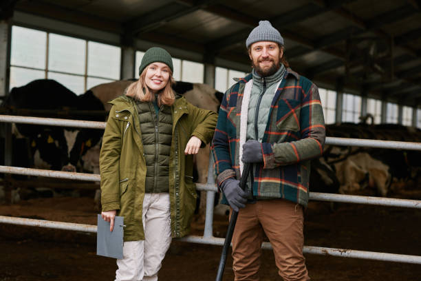 istock Farmers working on dairy farm 1447452106