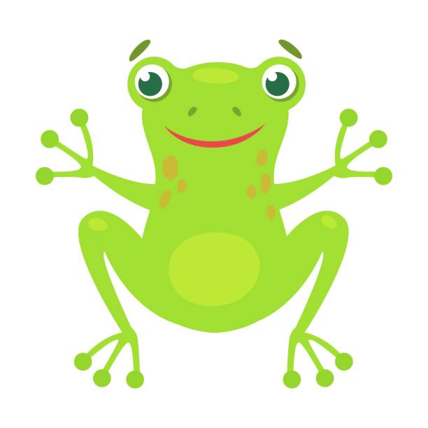 귀여운 개구리가 만화 삽화를 웅크리고 있다. 흰색 배경에 격리된 재미있는 녹색 울부짖는 두꺼비. 플랫 벡터 - frog catching fly water stock illustrations
