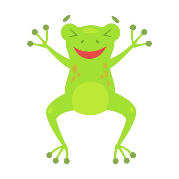 귀여운 개구리가 만화 삽화를 연습하고 있다. 흰색 배경에 격리된 재미있는 녹색 울부짖는 두꺼비. 플랫 벡터 - frog catching fly water stock illustrations