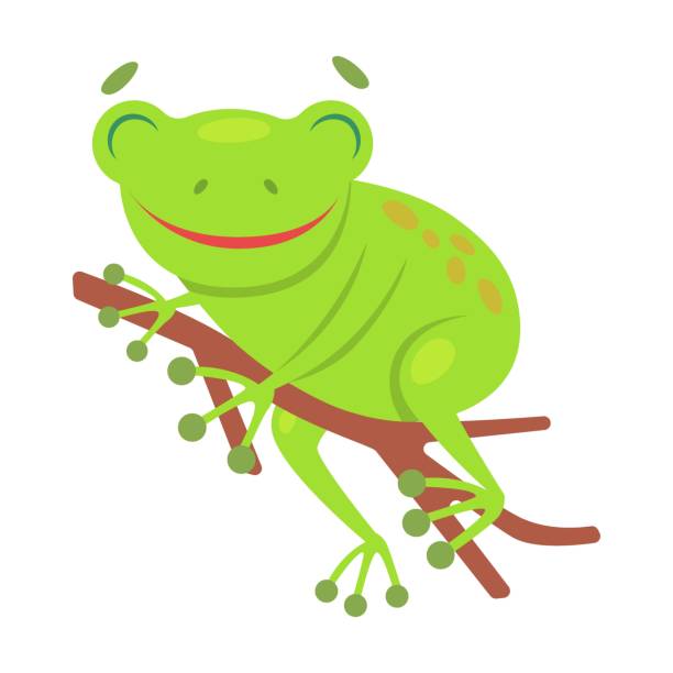 милая лягушка сидит на ветке мультяшной иллюстрации. забавная зеленая квакающая жаба изолирована на белом фоне. плоский вектор - frog catching fly water stock illustrations
