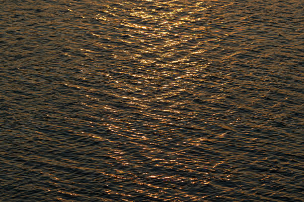 istock Waves on the surface of the water at sunset, top view 1447452851