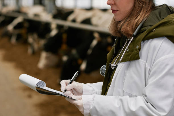 istock Veterinarian making notes in card after medical exam 1447453357