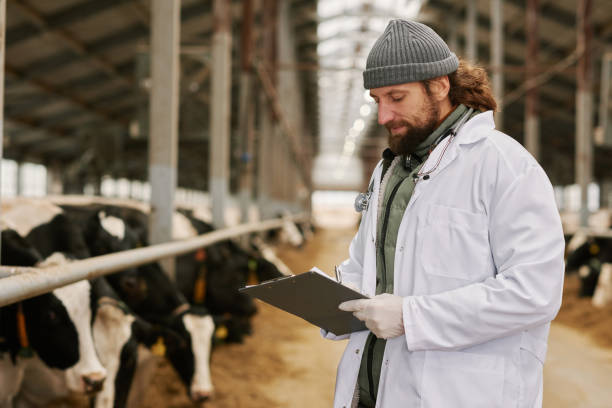 conclusión de escritura del médico veterinario después del examen médico - animal husbandry industry dairy farm fotografías e imágenes de stock