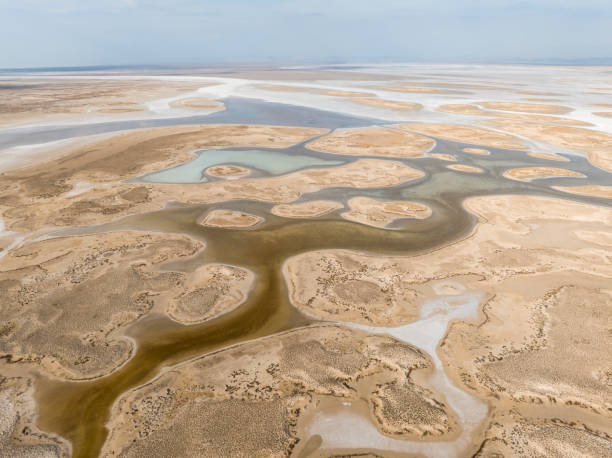 istock Natural shapes and textures on lake 1447455320
