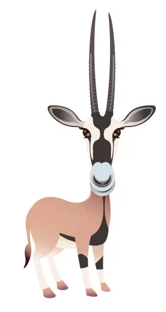 Vector illustration of Arabian Oryx