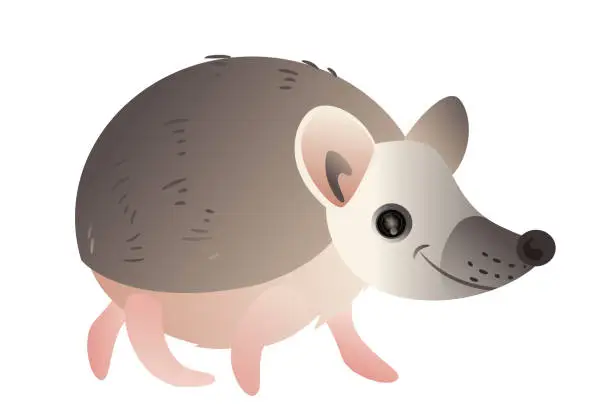 Vector illustration of Desert Hedgehog