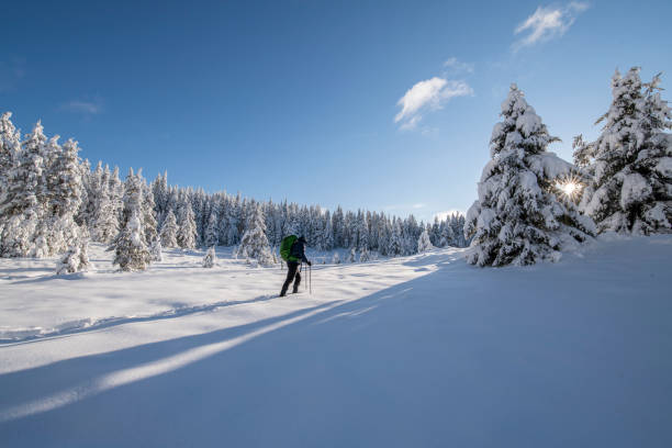 istock Hiker in a snowy forest. 1447458273