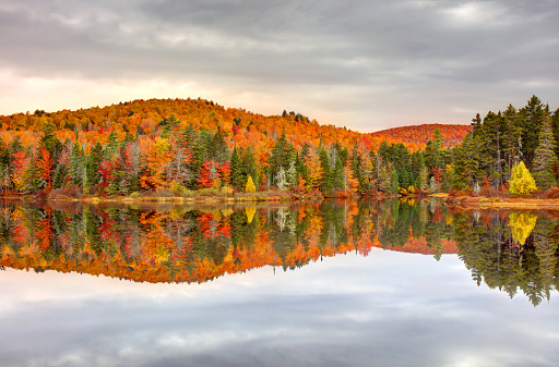 Fall colors reflected in the water of Birge Pond in Bristol, Connecticut.