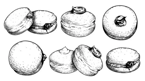 Vector illustration of Hand drawn sketch style Italian Bombolone set. Baked with chocolate and white cream inside. Traditional Italian desserts. Best for packaging and menu designs. Vector illustrations.