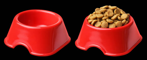 istock Pet food, empty and full red pet bowl on black 1447462173
