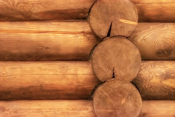 통나무로 만든 벽 조각. - log log cabin wood knotted wood 뉴스 사진 이미지