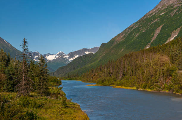 istock Traversing Clear Creek, Moose Pass scenery, Alaska, USA 1447465844