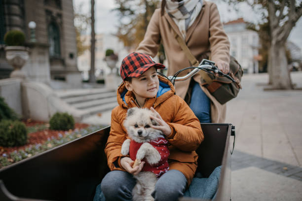 istock Boy with dog riding in cargo bicycle 1447470694