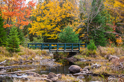 Fall scene in Midwestern park with senior man standing on stone bridge over landscaped stream; trees in background