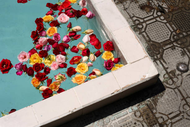 Free Stock Photo of A bouquet of roses in a pool | Download Free Images ...