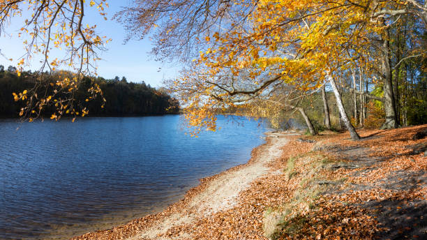 istock Vacations in Germany - sunny autumn day at the lake 1447477943